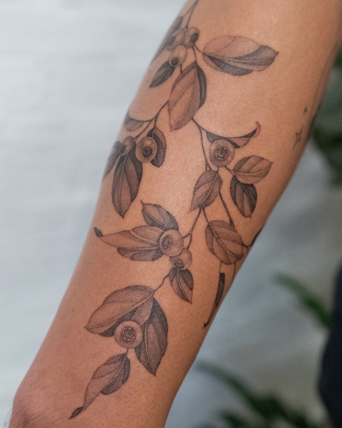 8 Blueberry Tattoo Ideas for Arms, Collarbones and Small Spaces 7 A fine line black and grey blueberry vine tattoo winding around a person's arm.