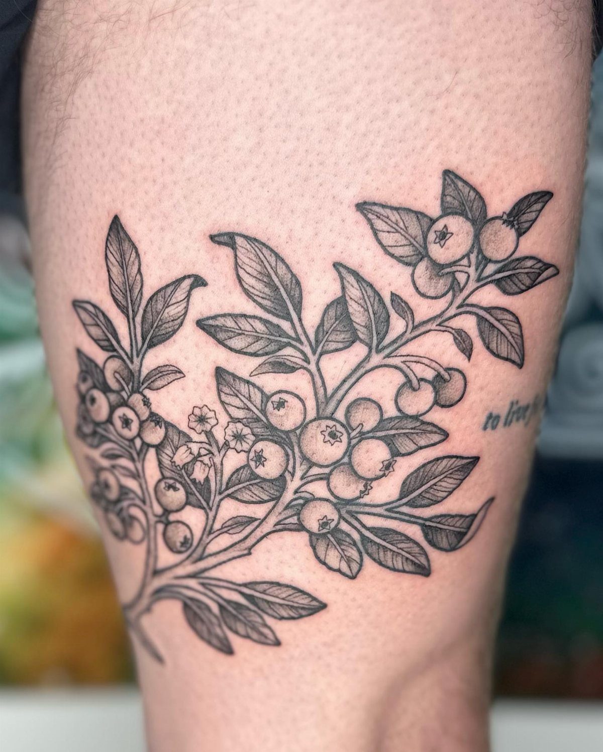 8 Blueberry Tattoo Ideas for Arms, Collarbones and Small Spaces 4 A black and grey tattoo of a blueberry branch with leaves and berries on skin.