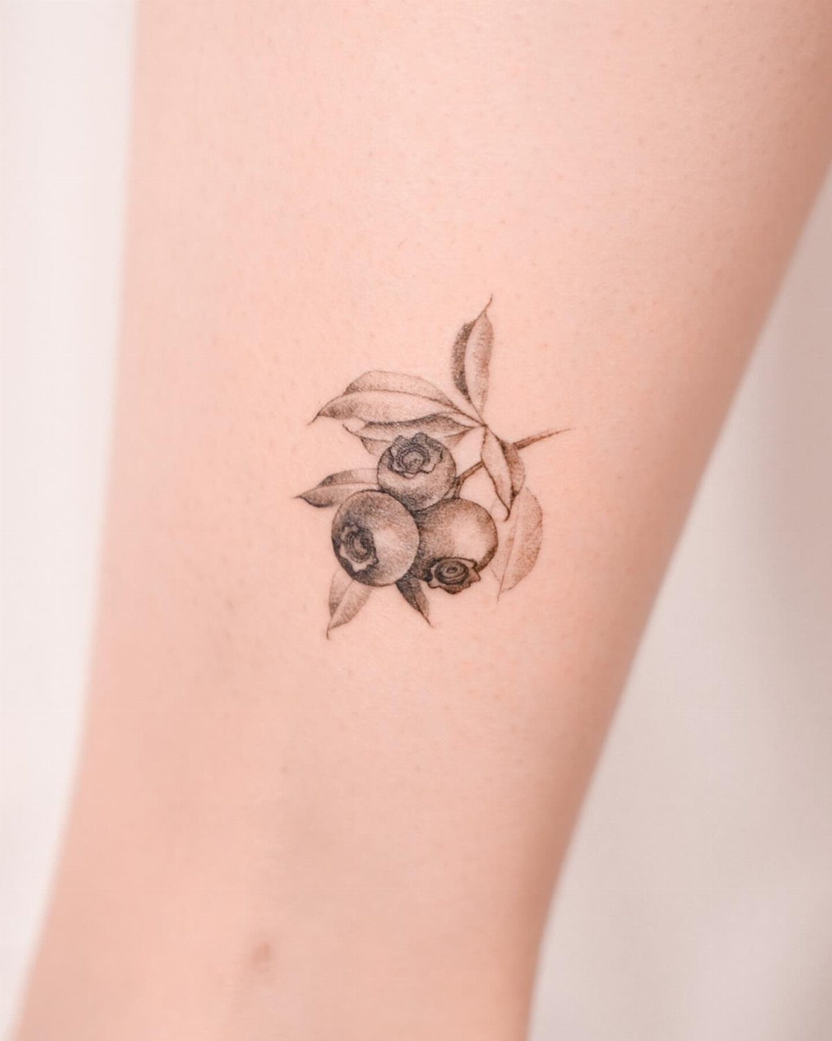 8 Blueberry Tattoo Ideas for Arms, Collarbones and Small Spaces 1 A fine line black ink tattoo of blueberries and leaves on skin.