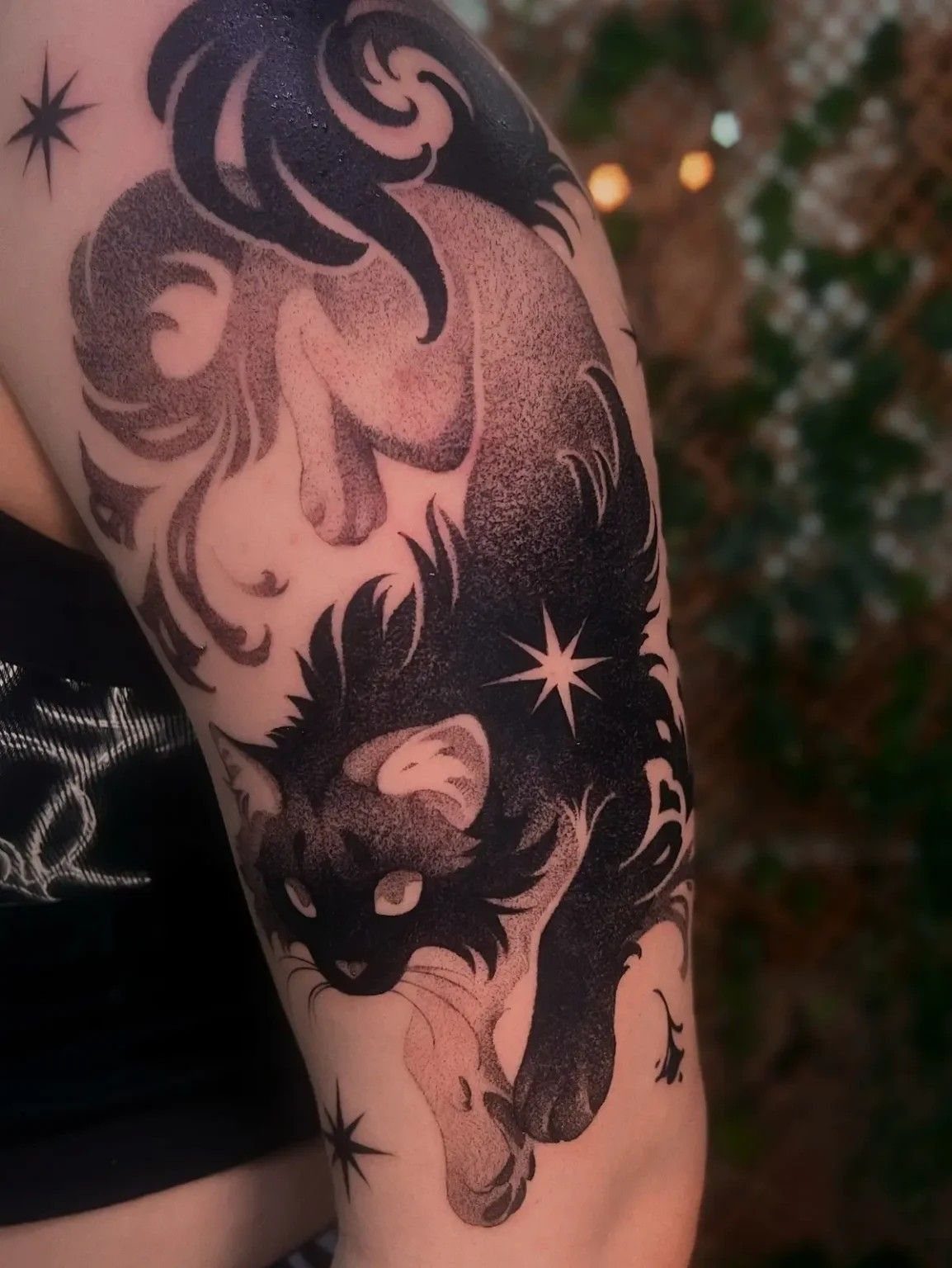 Cat Tattoo with Pattern: 8 Bold Design Ideas to Consider 7 Two stylized black and grey cat tattoos with swirling patterns and stars on a person's arm.