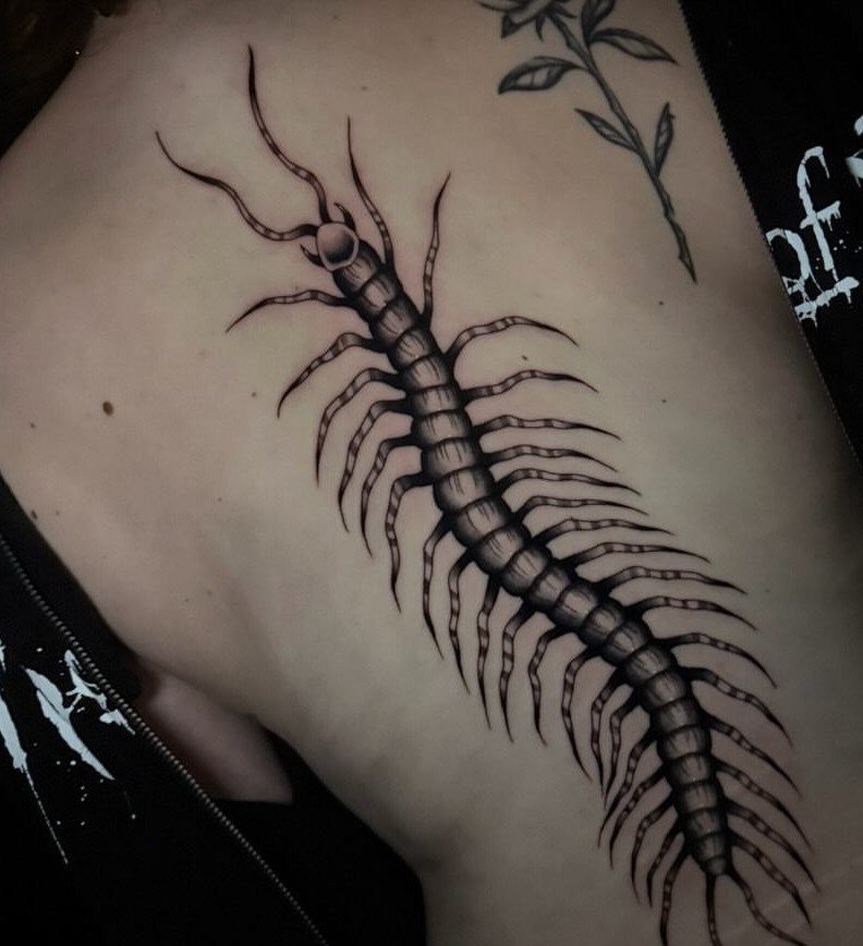 A detailed black ink centipede tattoo running vertically down a person's spine.