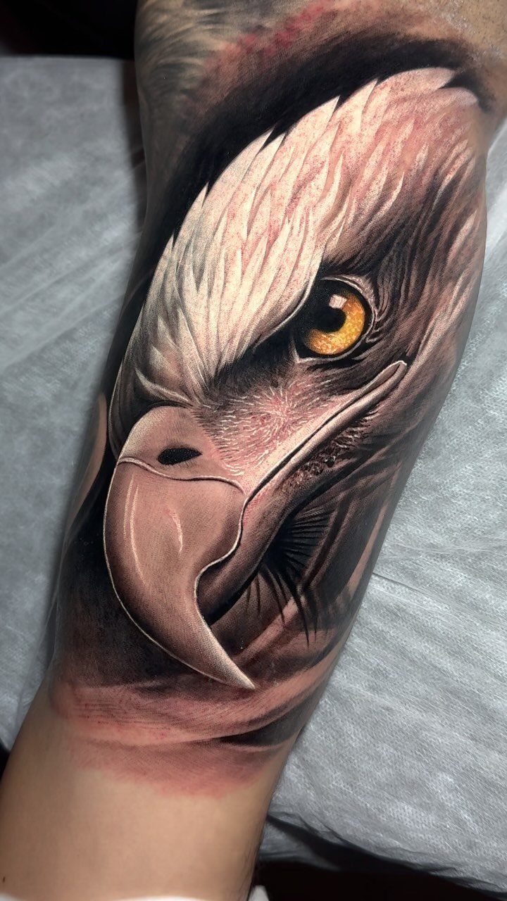 A highly detailed realistic eagle head tattoo on a person's forearm.