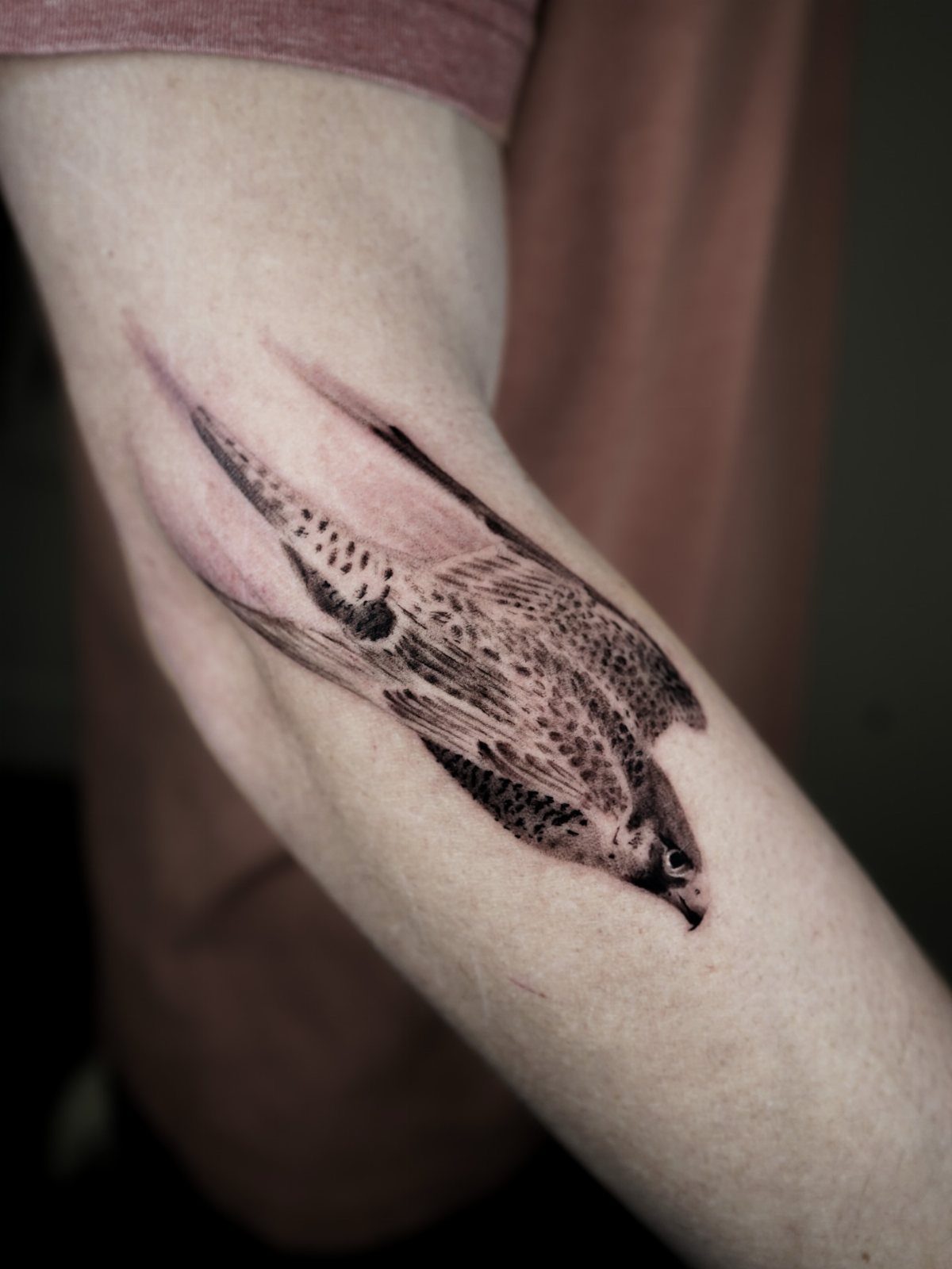 A detailed black and grey bird tattoo in flight on a person's forearm.