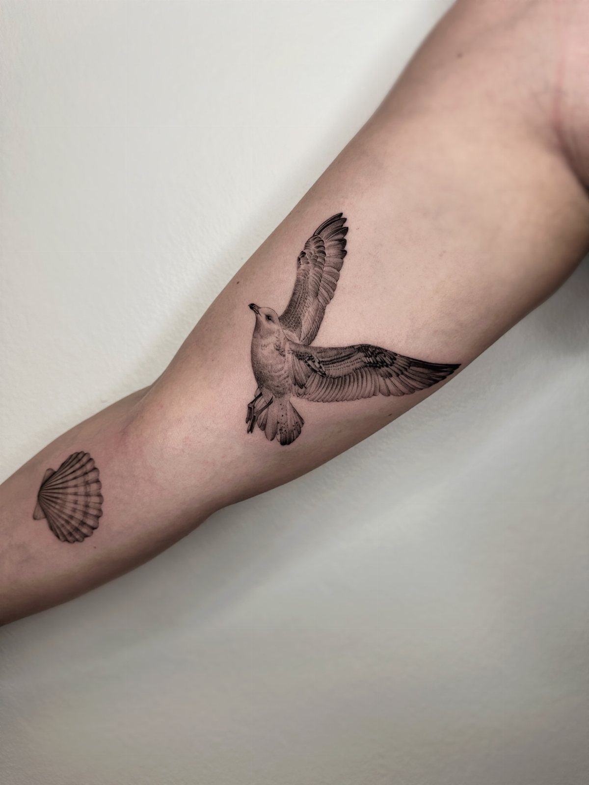 A black and grey seagull tattoo in flight on a person's forearm.