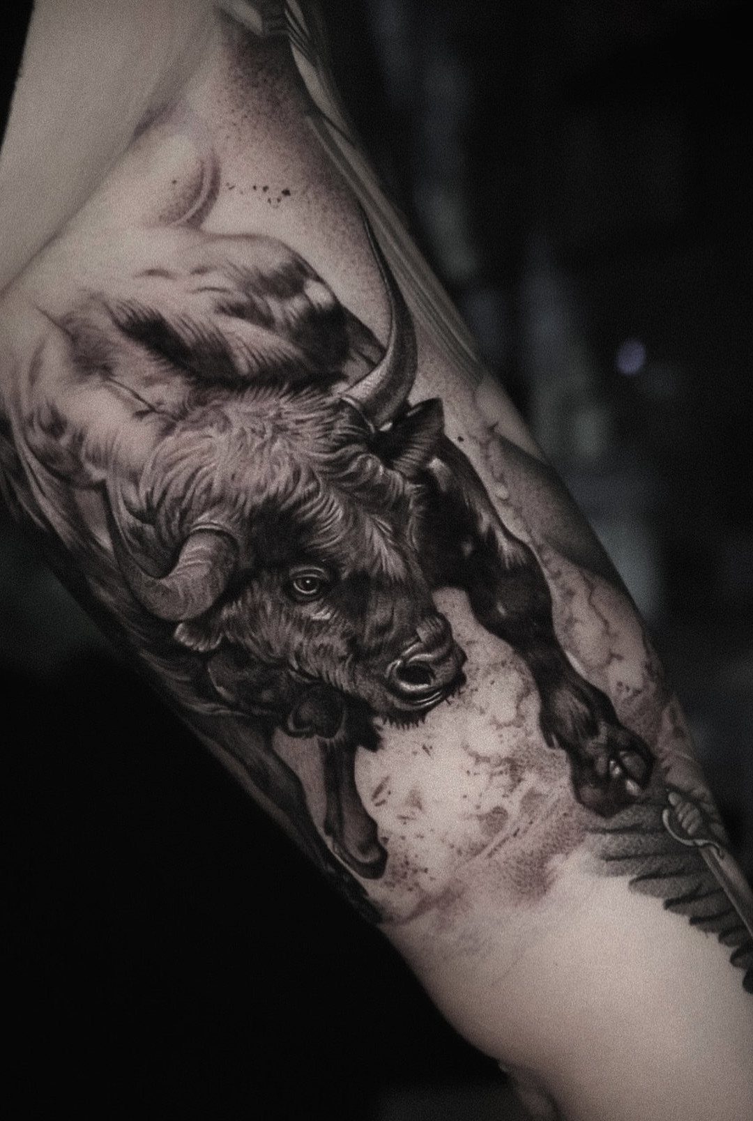 16 Realistic Bull Tattoo Ideas for Strength and Style 7 A realistic black and grey bull tattoo on a person's arm showing a charging bull.