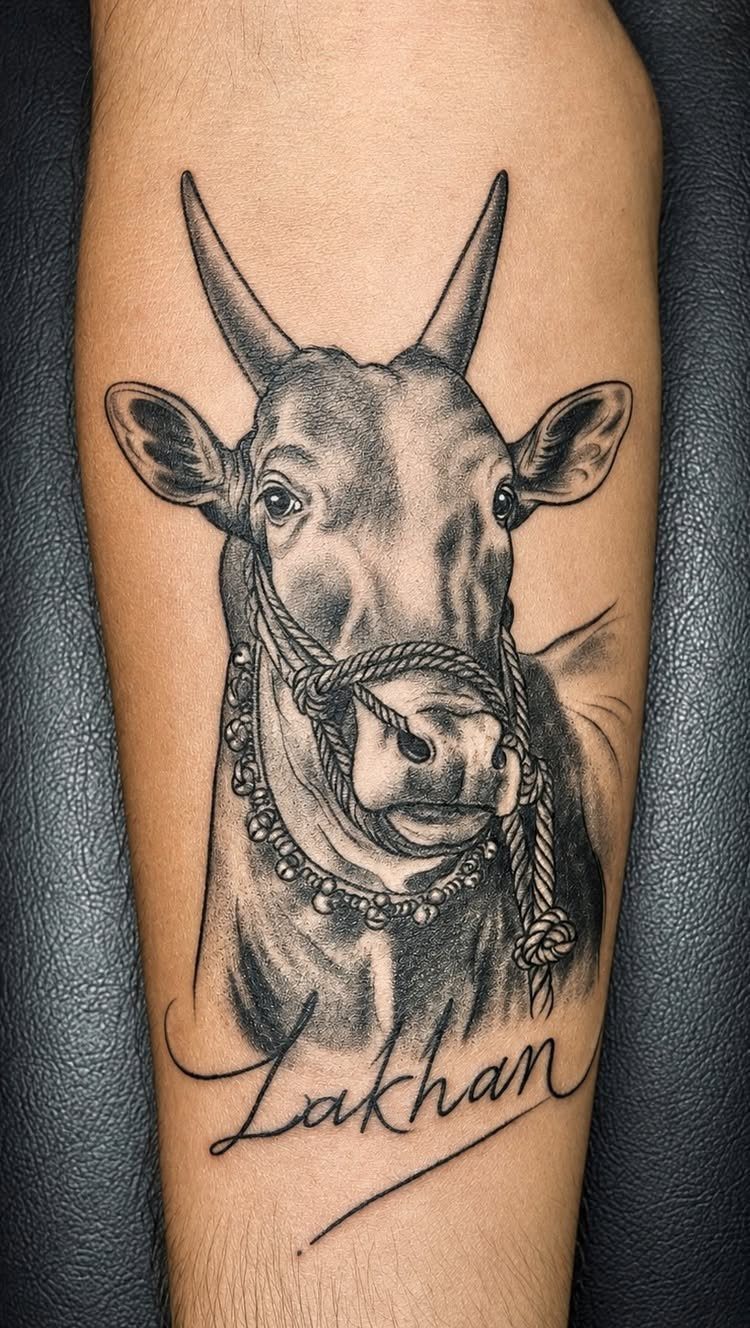 16 Realistic Bull Tattoo Ideas for Strength and Style 8 A realistic black and grey bull head tattoo with a rope halter on a person's arm.