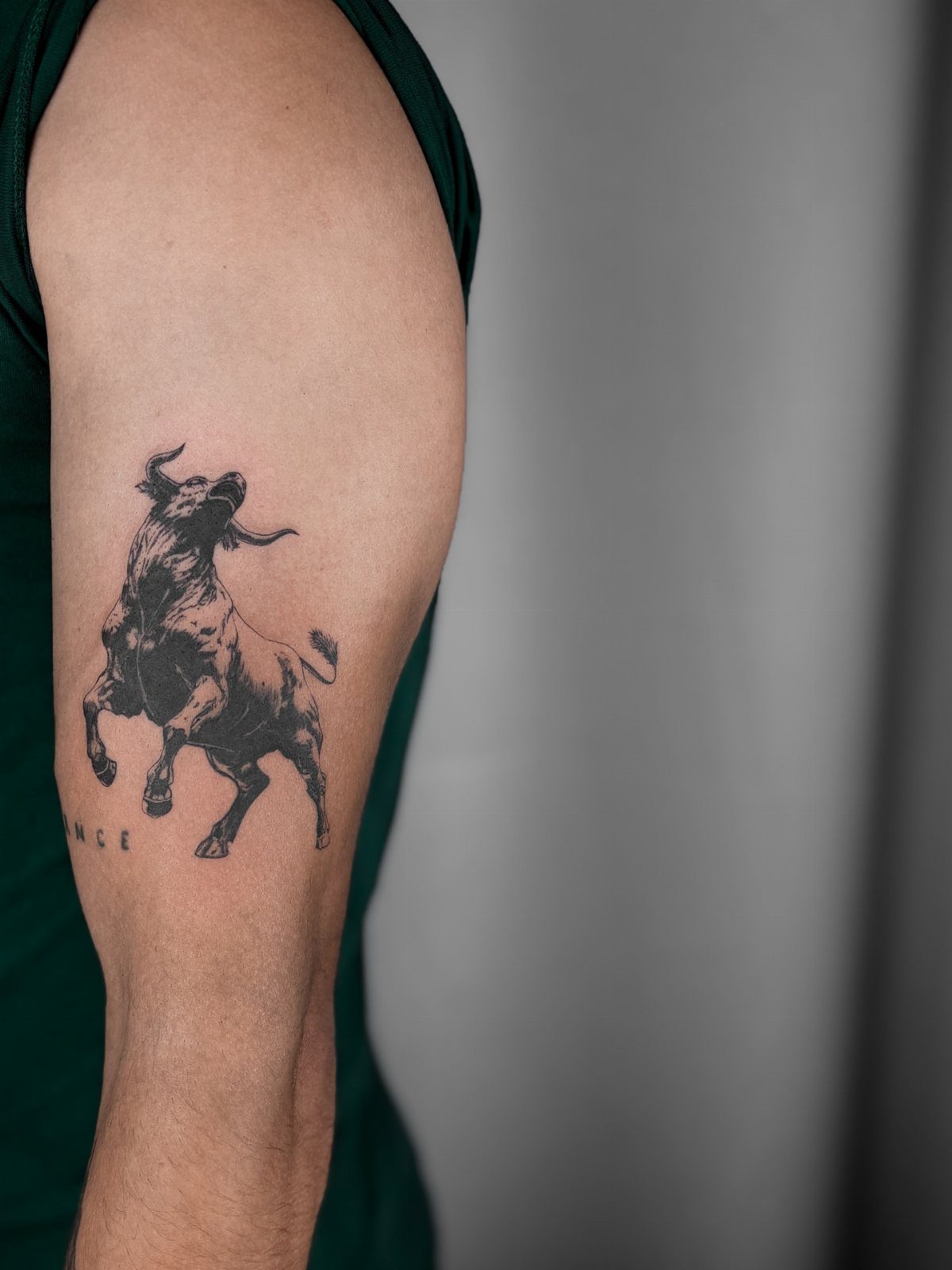 16 Realistic Bull Tattoo Ideas for Strength and Style 6 A realistic black ink tattoo of a charging bull on a person's bicep.