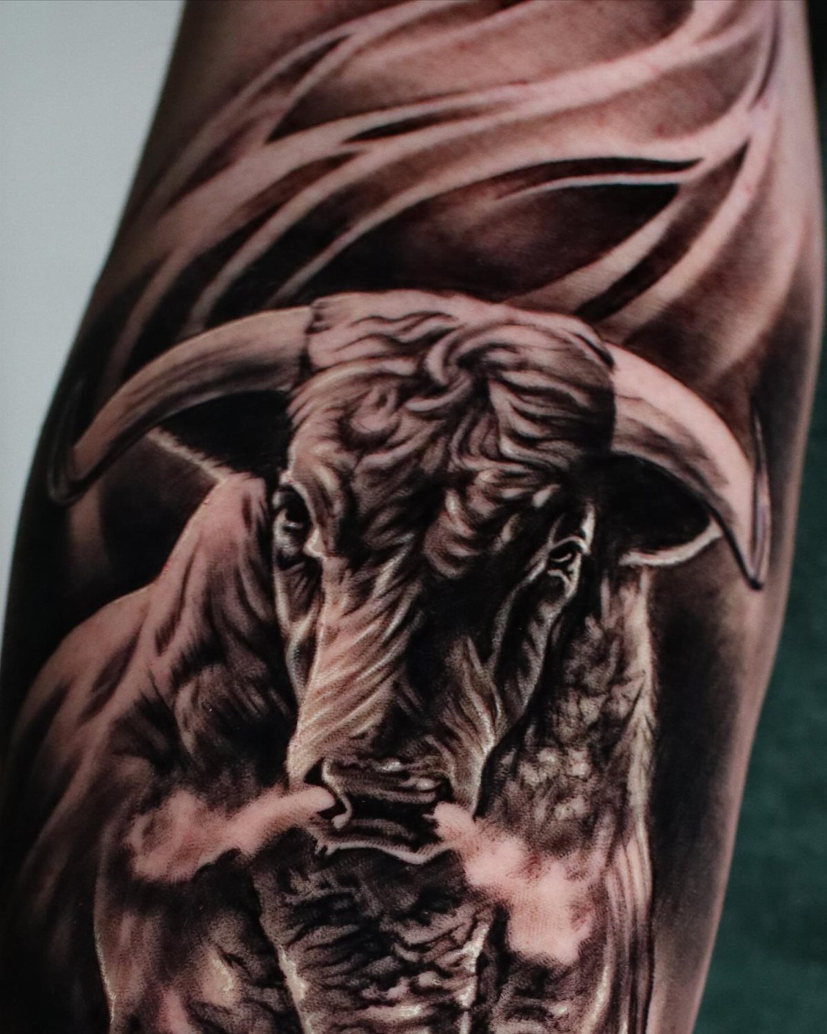 16 Realistic Bull Tattoo Ideas for Strength and Style 3 A realistic black and grey bull head tattoo detailed with textured fur on a person's arm.