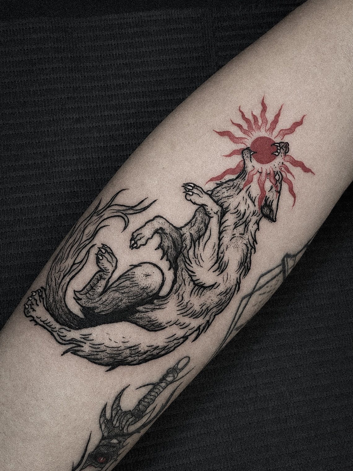 Running Wolf Tattoo: 7 Designs That Move 6 A black ink wolf tattoo with a red sun motif on a person's forearm.