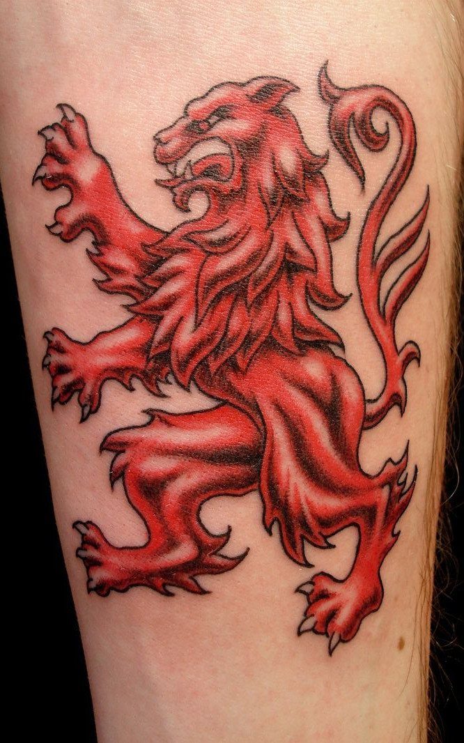7 Scottish Lion Tattoo Ideas for Your Next Ink 6 A red lion rampant tattoo with black outlines on a person's skin.