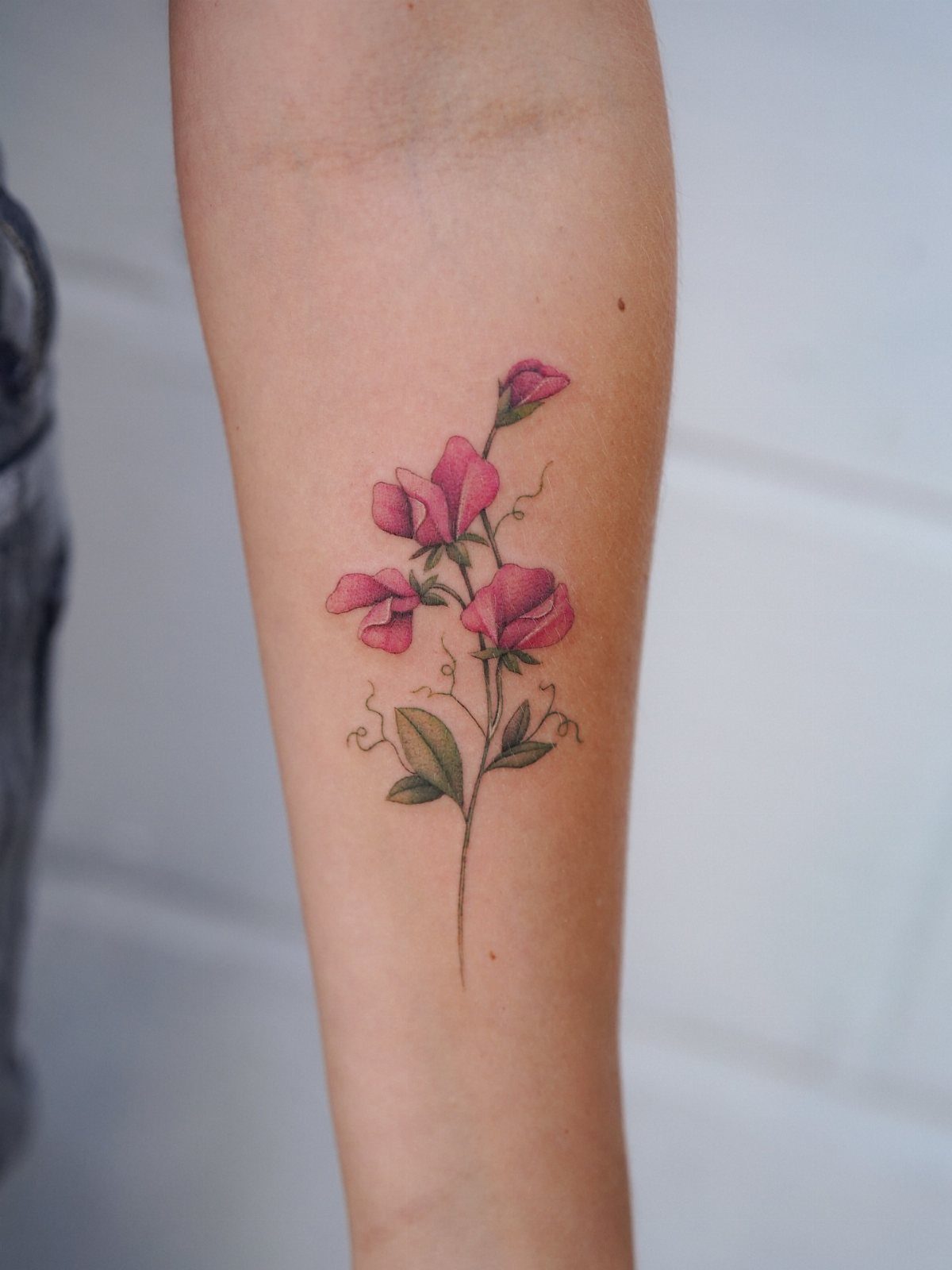Sweet Pea Flower Tattoo: 7 Ideas for Placement and Style 7 Pink sweet pea flower tattoo with green leaves and vines on a person's forearm.