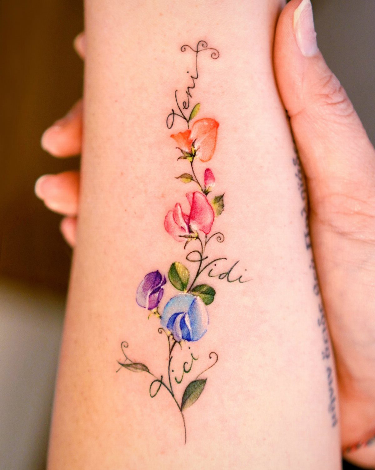 Sweet Pea Flower Tattoo: 7 Ideas for Placement and Style 6 A colorful sweet pea flower tattoo with cursive script on a person's forearm.