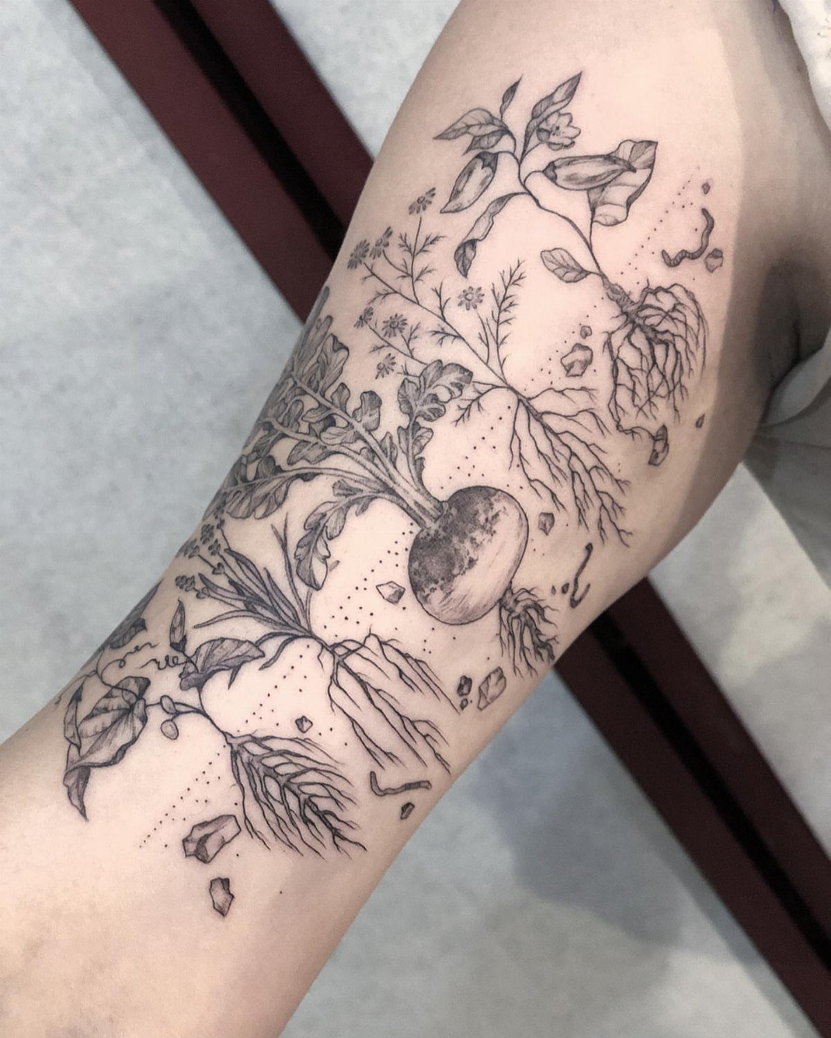 The Most Beautiful Radish Tattoo: 8 Designs for Your Next Ink 4 Black ink botanical radish tattoo with detailed leaves and roots on a person's arm.