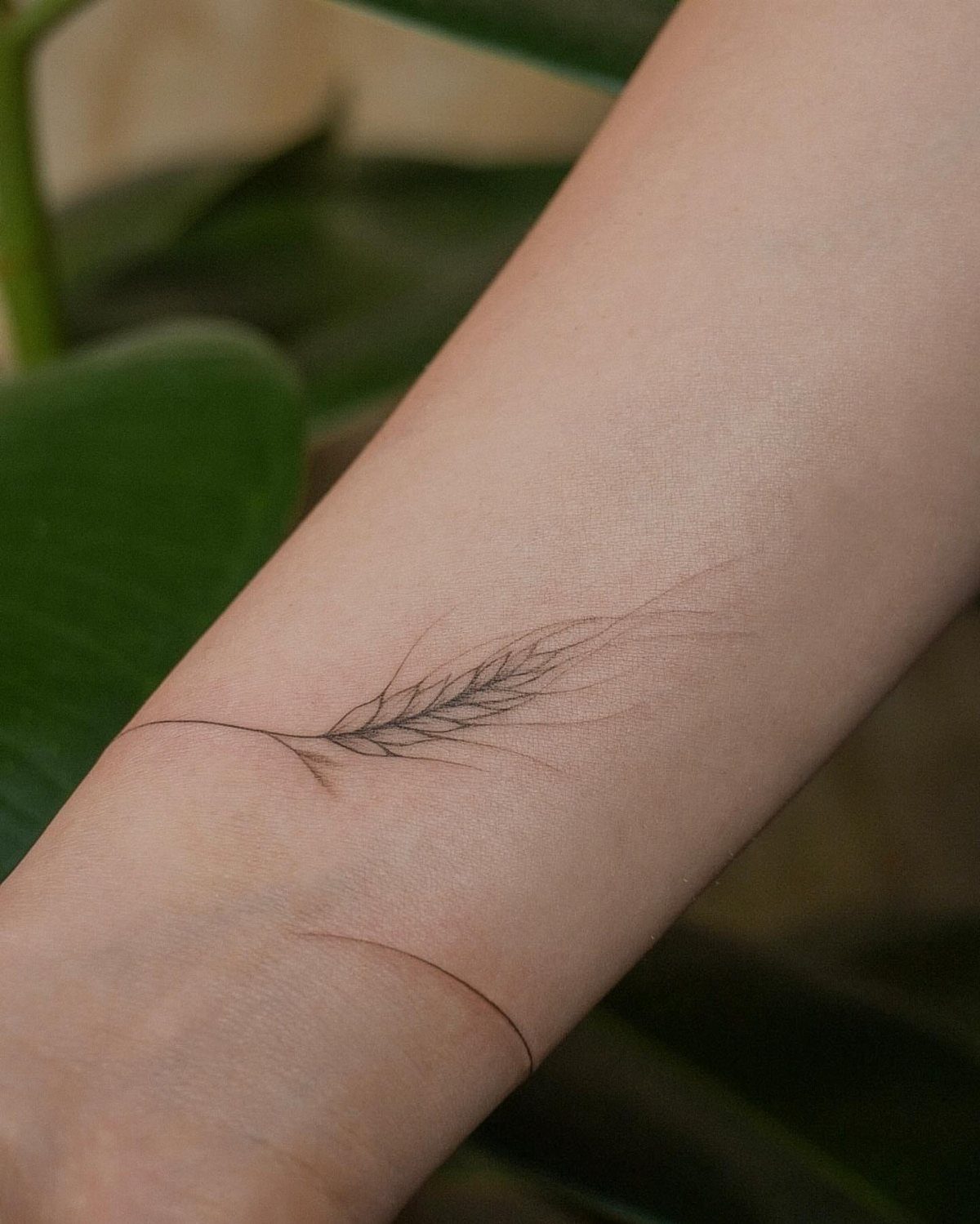 6 Wheat Tattoo Ideas for Your Next Ink 4 A fine line wheat stalk tattoo on a person's forearm against a green background.